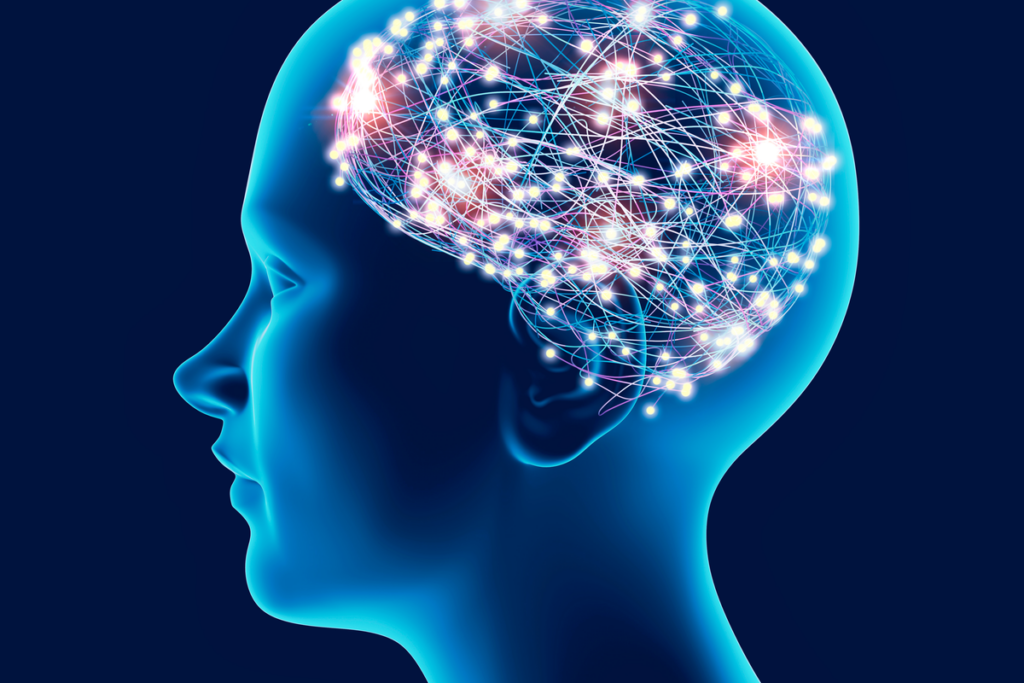Cerveau adolescent symbolisant le déclin cognitif chez les personnes souffrant de migraine