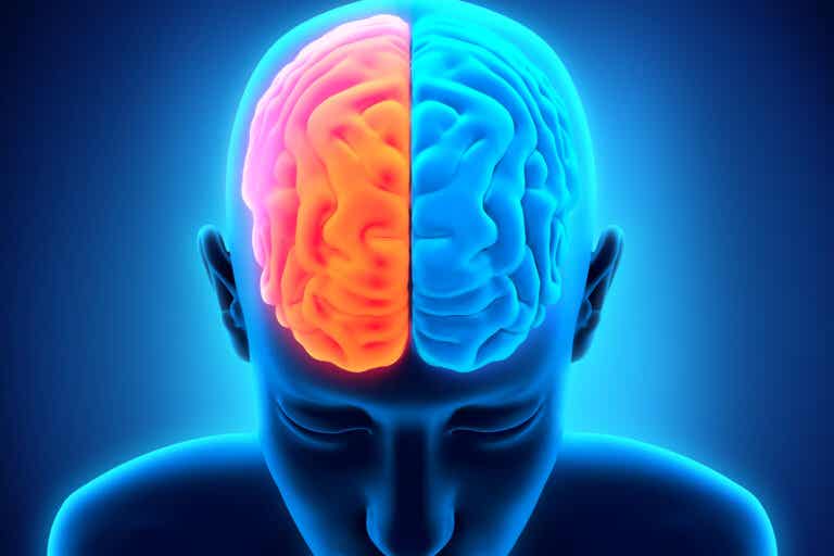 ¿Qué ocurre cuando se lesiona el hemisferio cerebral derecho?