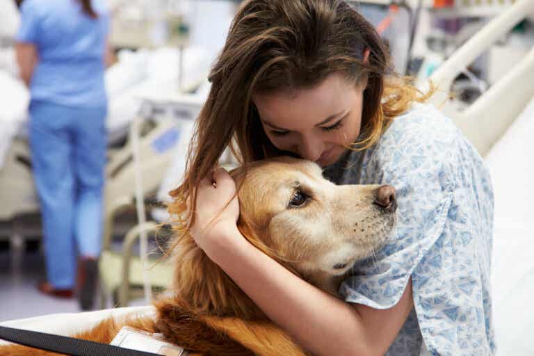 Terapia con mascotas: en qué consiste y cuáles son sus beneficios