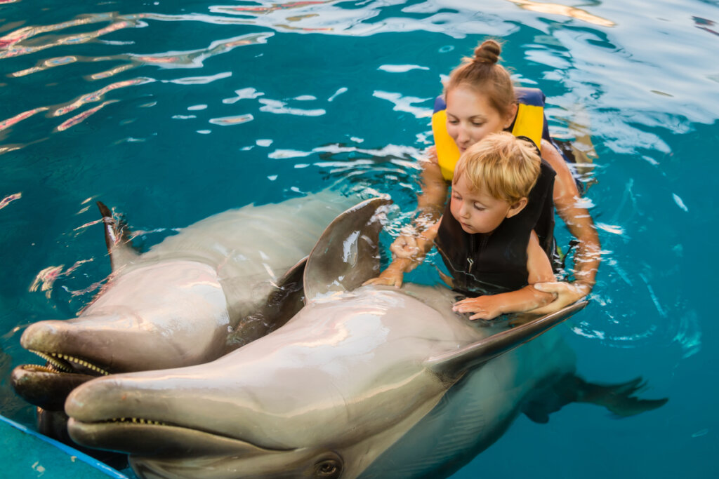 Niña con delfines
