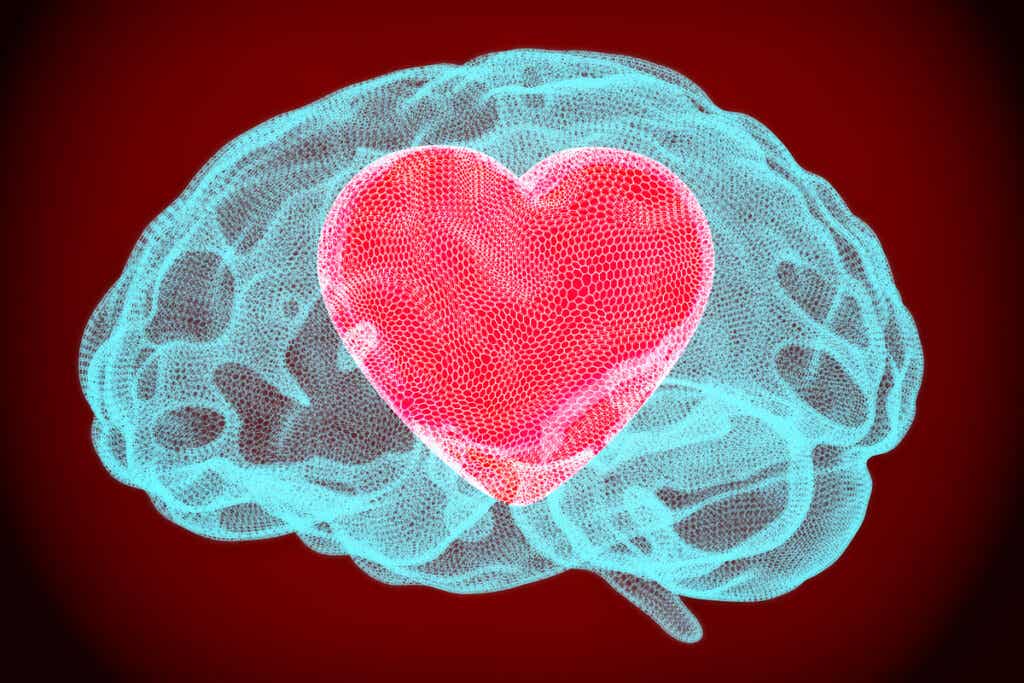 Brain with a heart to represent the types of humility