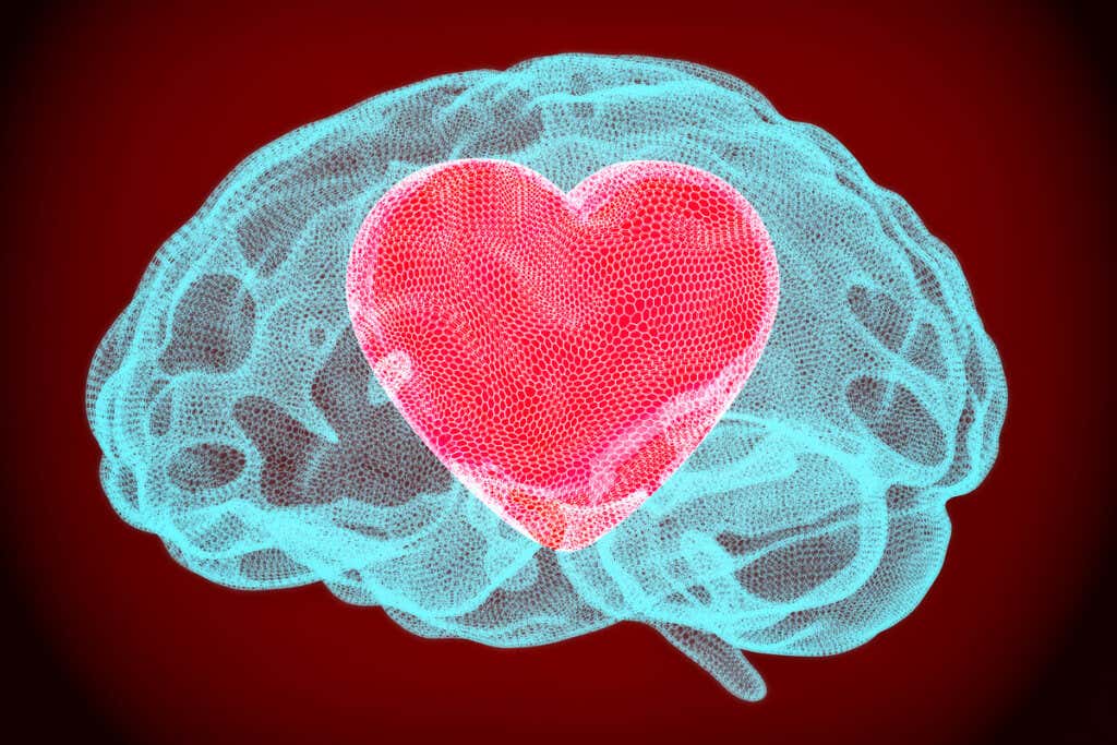 Hjerne med et hjerte som symboliserer at hvis du er nysgjerrig blir du glad
