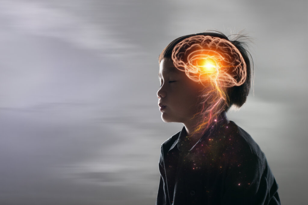 Cérebro de criança iluminado simbolizando a molécula que rejuvenesce cérebros envelhecidos