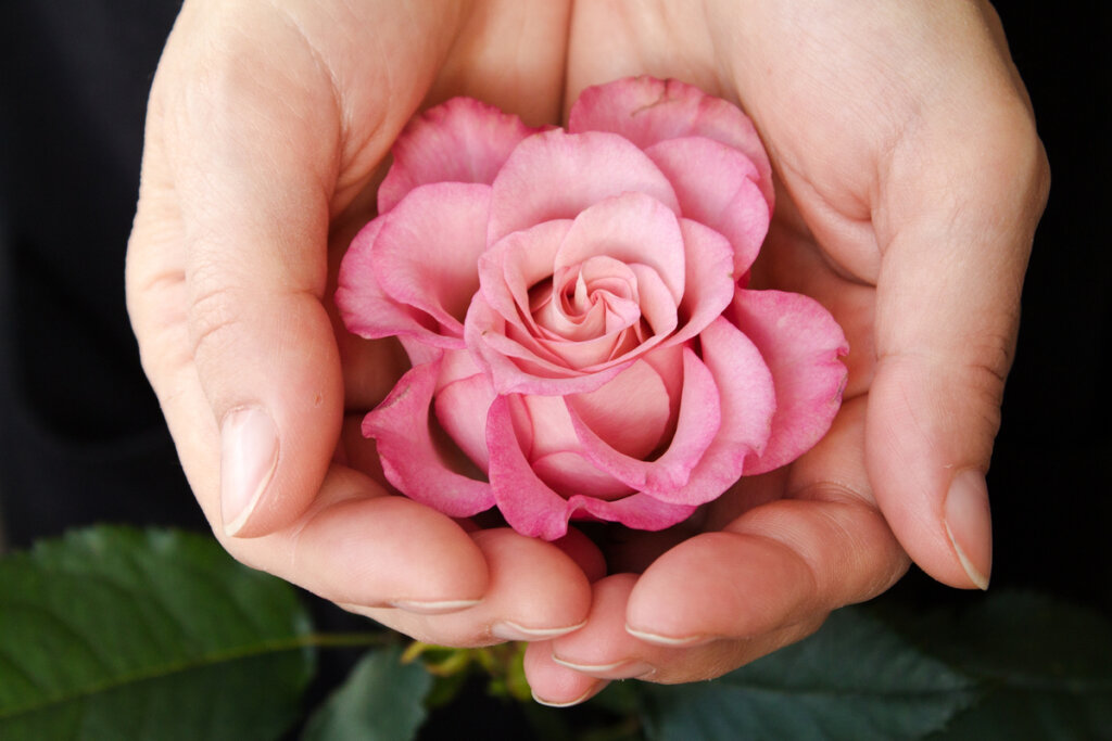 mains avec une fleur
