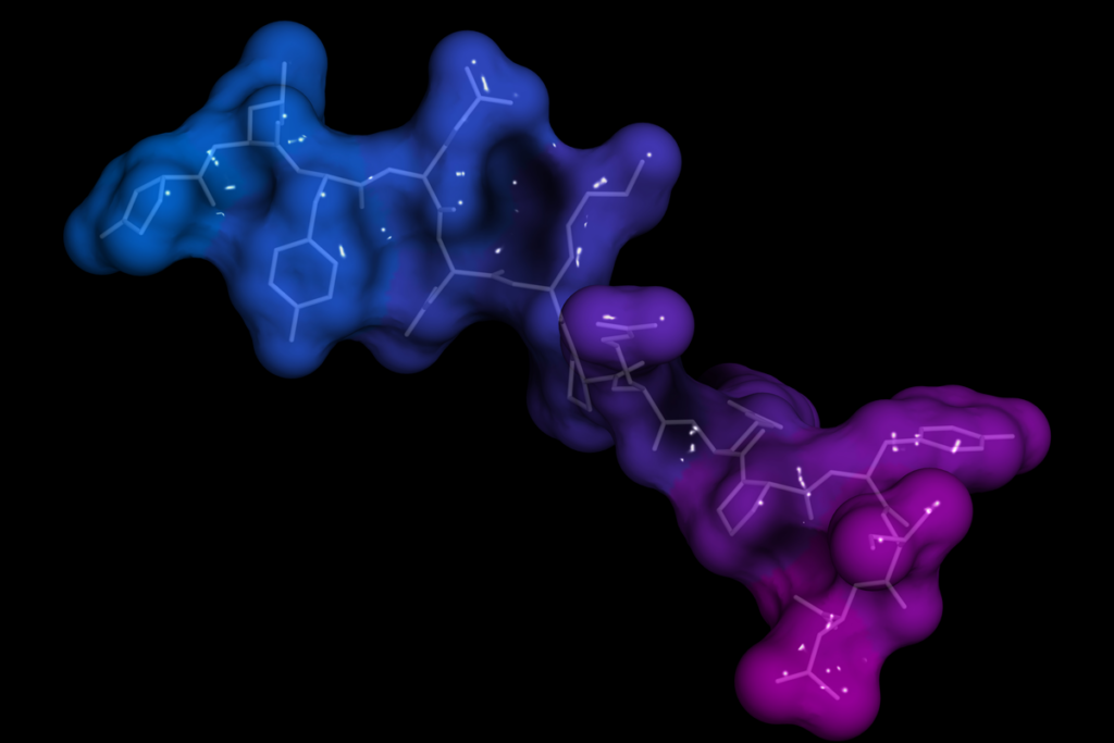 Neurotensine