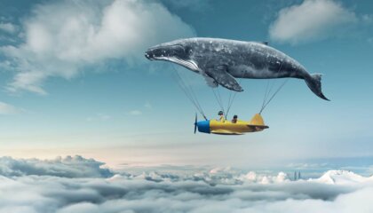 7 curiosidades del libro "La interpretación de los sueños" de Freud