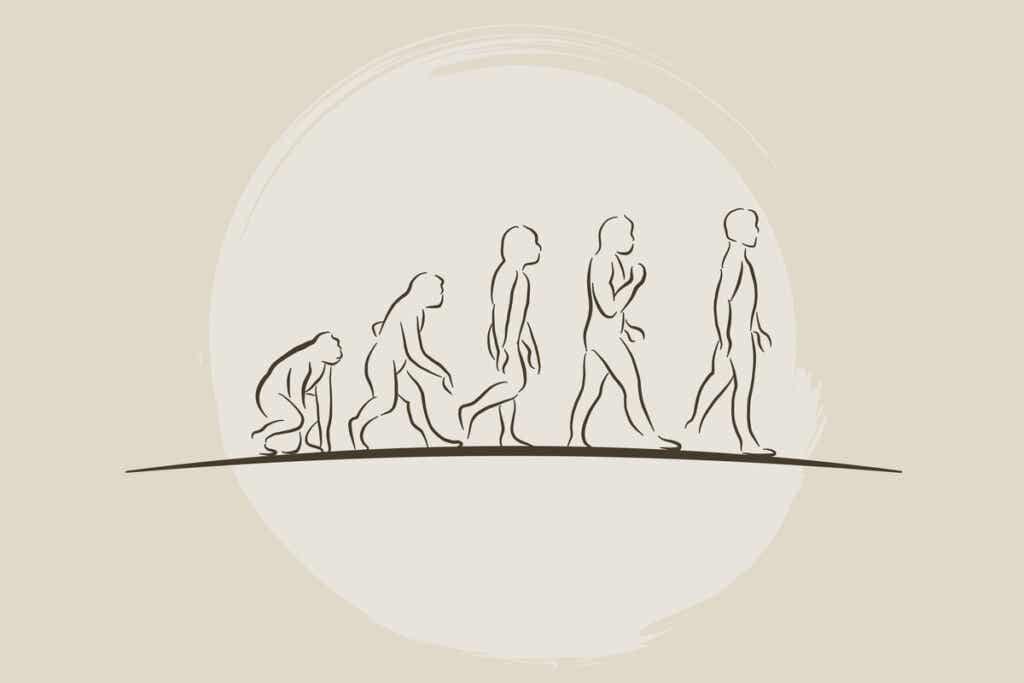 Sosiaalidarwinismi on kehitetty Darwinin evoluutioteoriasta.