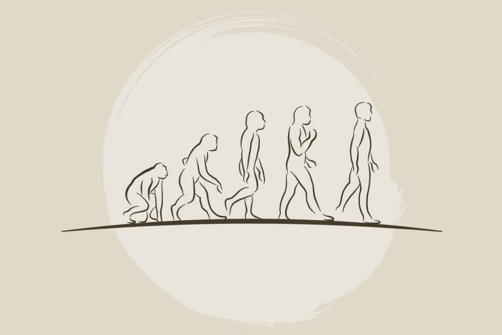 Darwinismo sociale ed evoluzione.