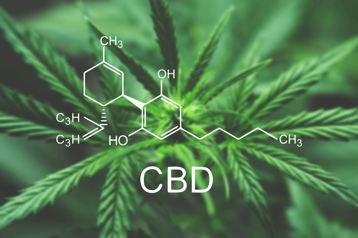 Qué Es Lo último Que Sabemos Sobre El Cannabidiol (CBD) - La Mente Es ...