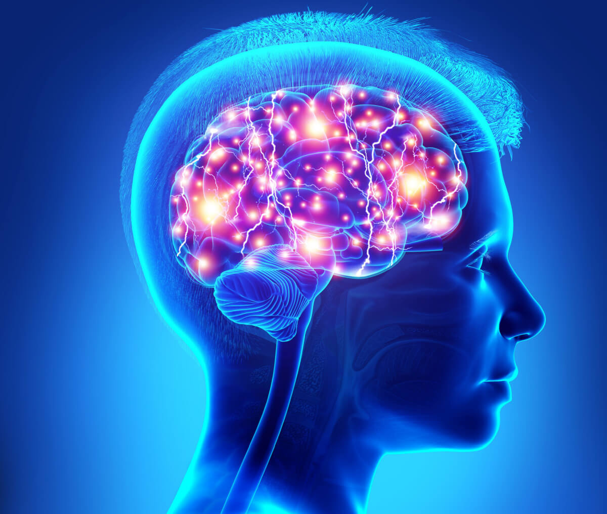 Corteza prefrontal y adolescentes: ¿qué hay detrás de la edad del pavo?