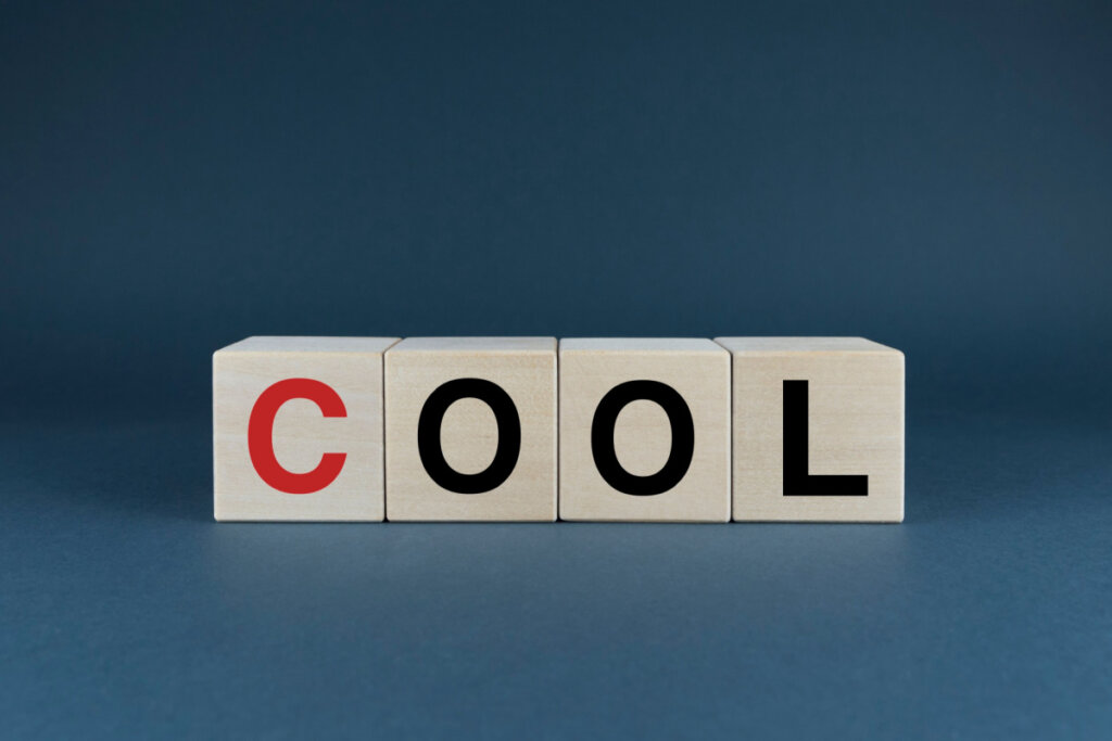Palabra cool