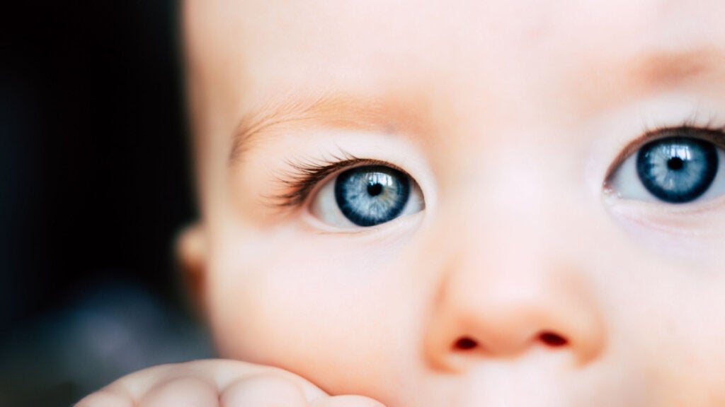 Ojos de un bebé simbolizando el movimiento de los ojos
