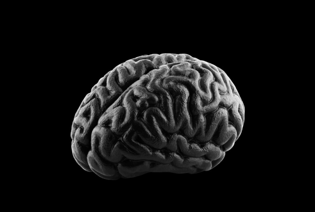cérebro preto e branco