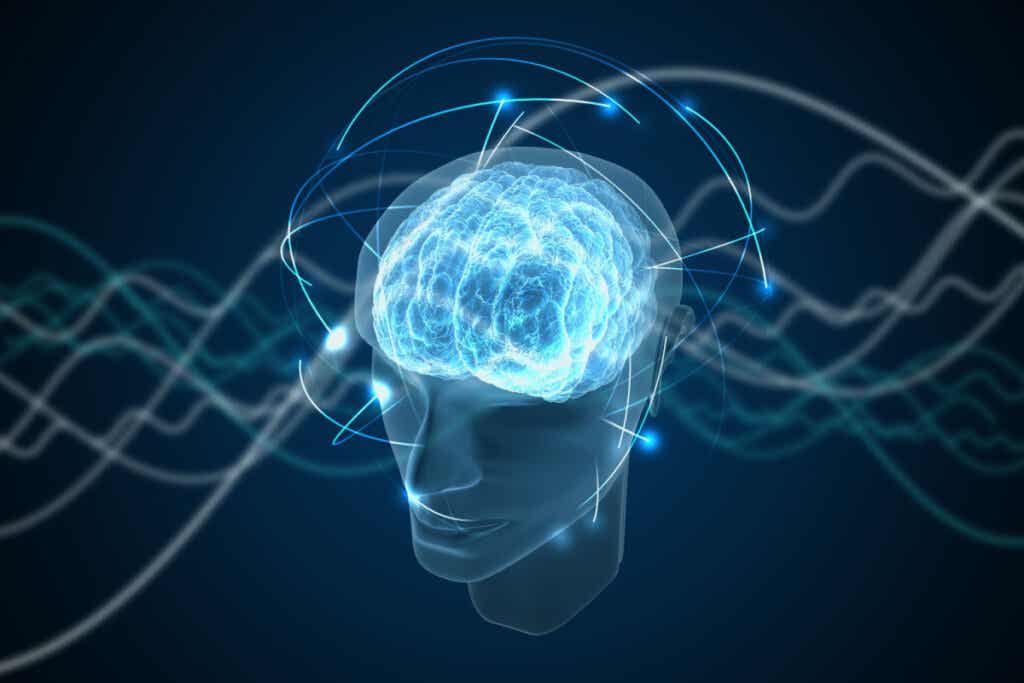 Mente con el cerebro iluminado simbolizando la vía neuronal que borra los recuerdos