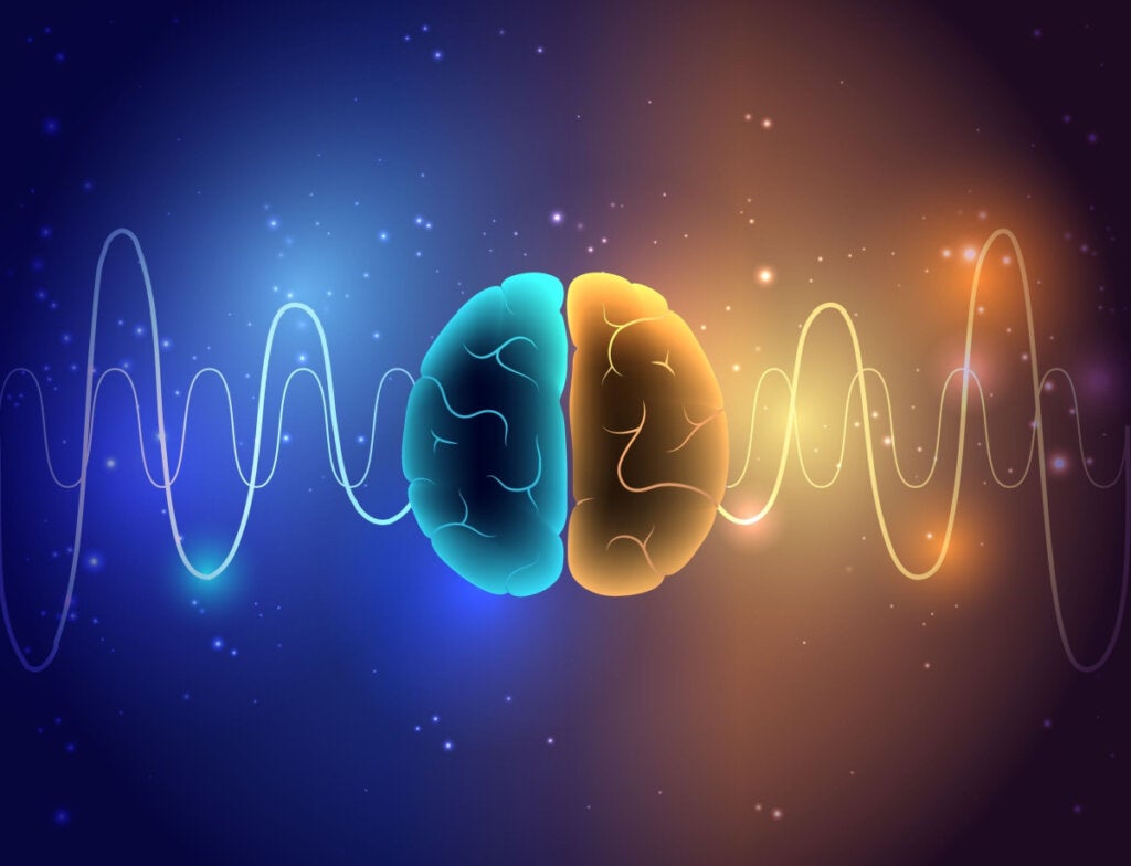 brain with waves to represent social zeitgeber theory
