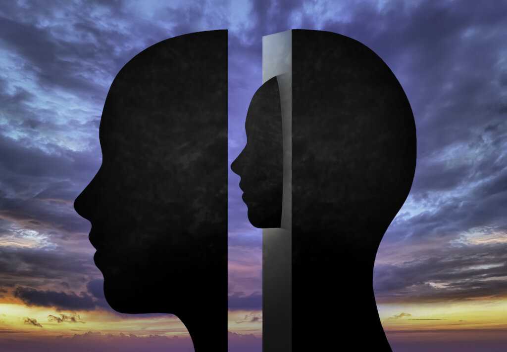 Idiographic and Nomothetic Approaches to the Study of Personality