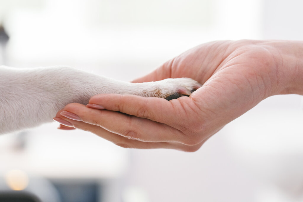 La cruauté envers les animaux dans les laboratoires est à l'origine de mouvements qui condamnent la pratique