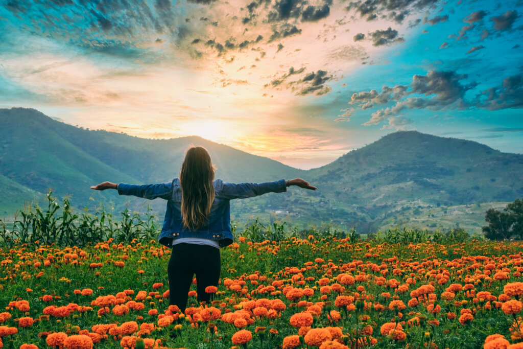 Femme ouvre ses bras au milieu d'un champ de fleurs