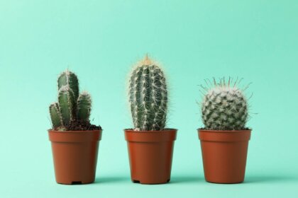 ¿Cómo lidiar con una familia tóxica?