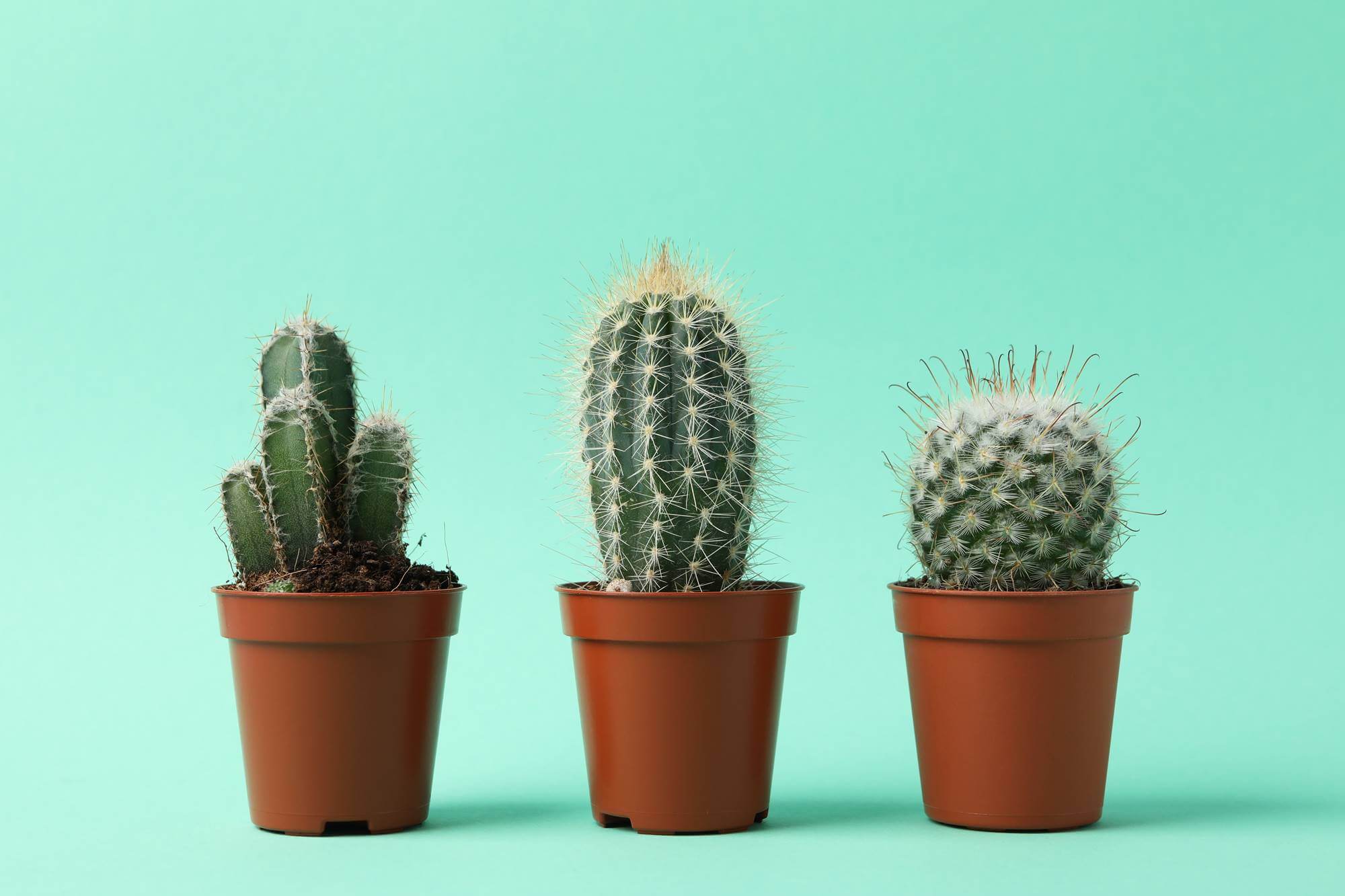 ¿Cómo lidiar con una familia tóxica?