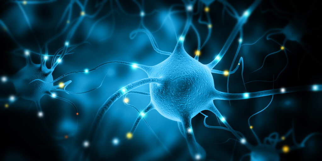 Illustration du processus de connexion neuronale