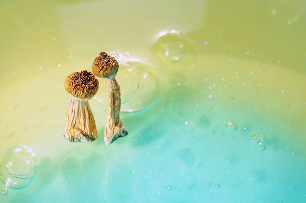 champignons thérapeutiques psychédéliques