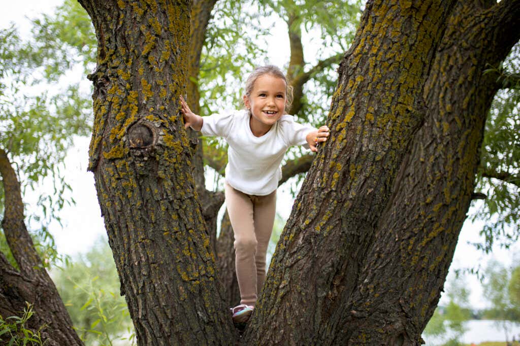 girl climbs a tree