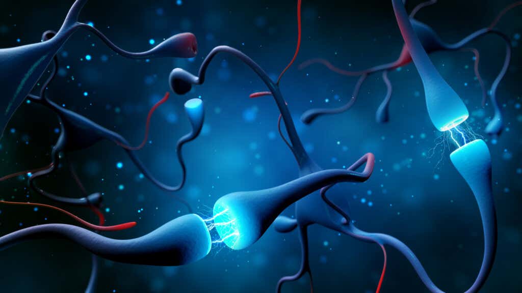 Aktivitet av nevrotransmittere relatert til nytelse
