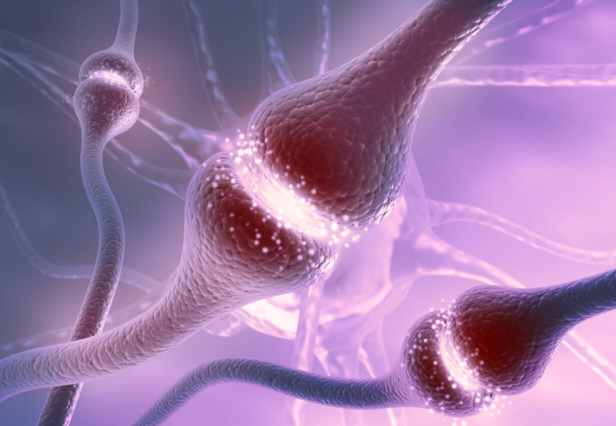 ¿Sabes qué es la serotonina y qué efectos tiene en tu cuerpo?