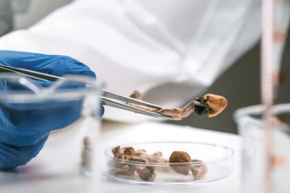 Los psicodélicos y las enfermedades terminales