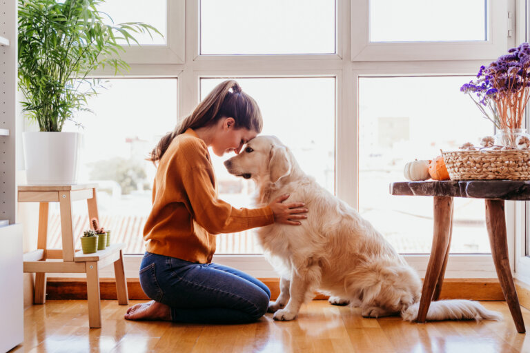 ¿Por qué tener una mascota beneficia a tu salud mental?