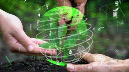 Filosofía ambiental: la reflexión del siglo XXI