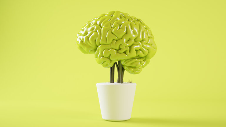 3 mitos sobre la mentalidad de crecimiento