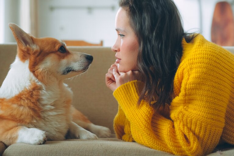 Mi pareja no acepta a mi perro: 6 claves para manejarlo