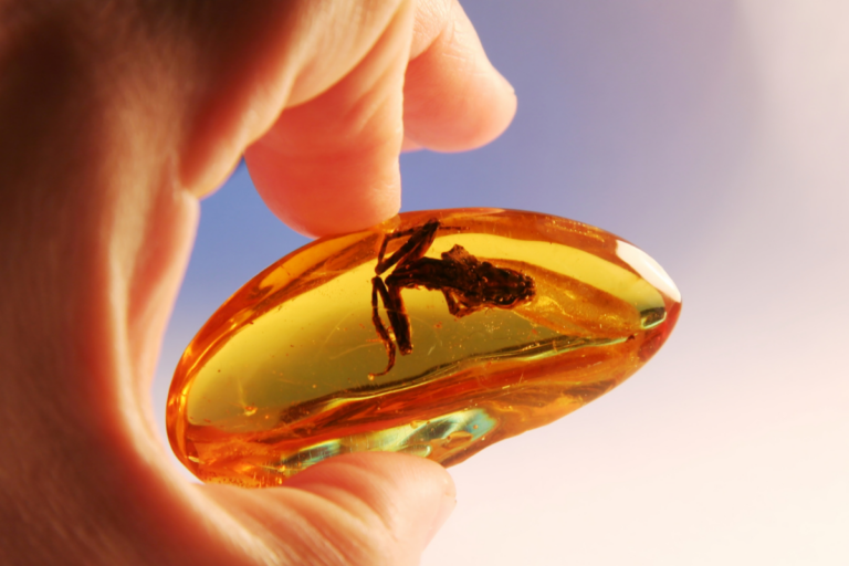 Significado del color ámbar desde la psicología