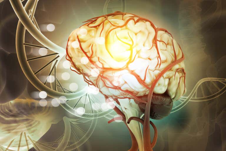 Dopamina y serotonina: descubre sus diferencias en el cerebro