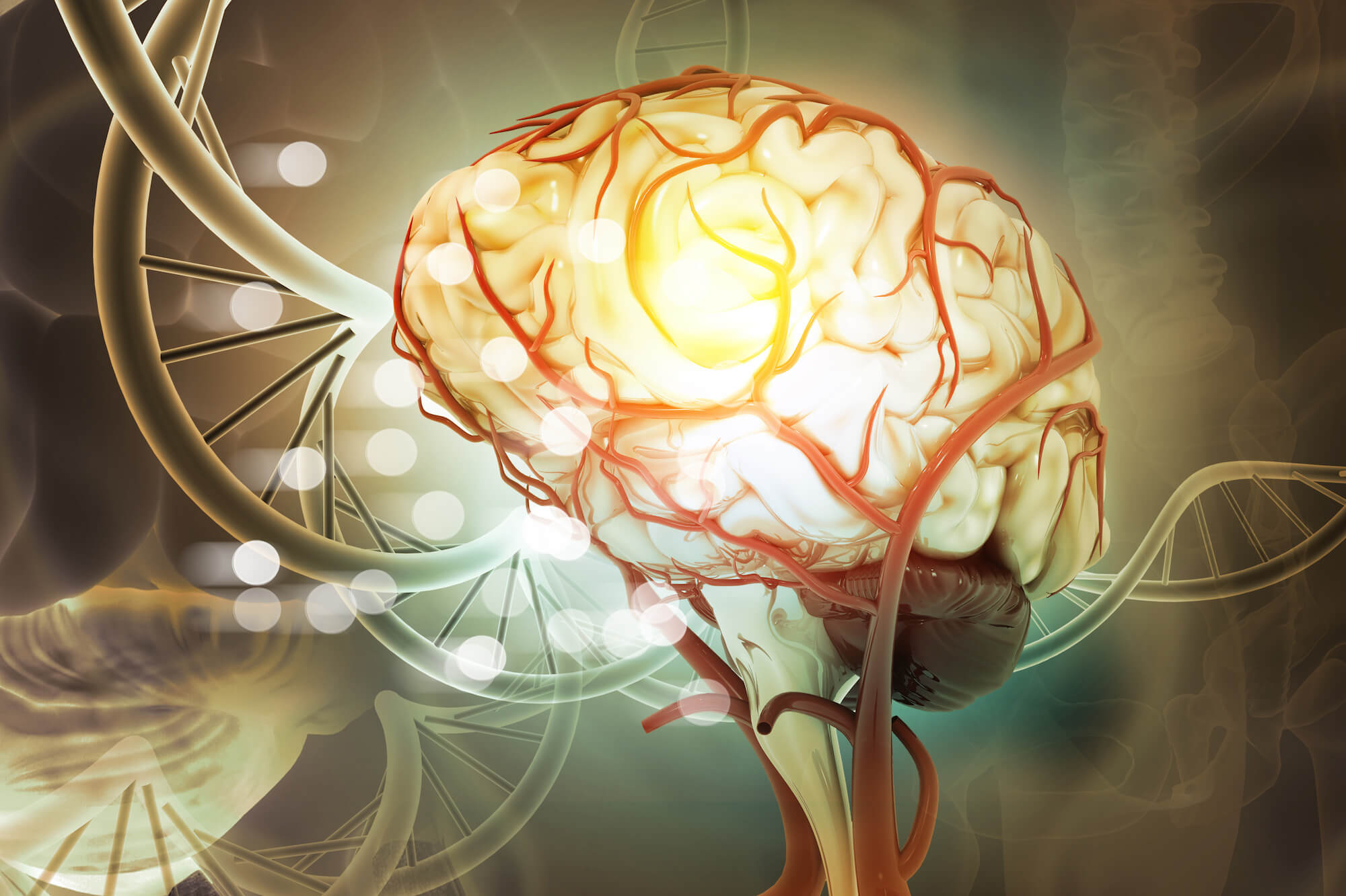 Dopamina y serotonina: descubre sus diferencias en el cerebro