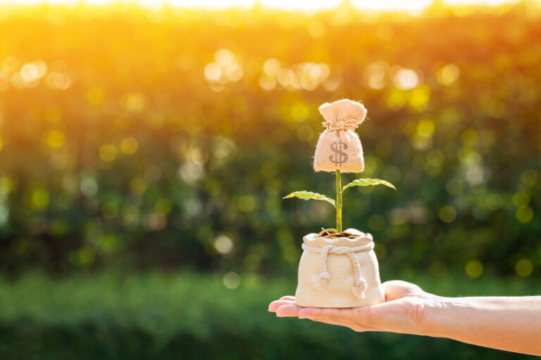 Hábitos que ayudan a mejorar tu relación con el dinero