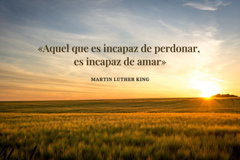 56 frases para pedir perdón y reparar errores pasados