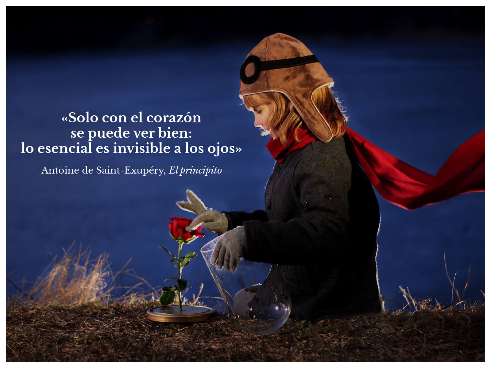 111 frases de inteligencia emocional para niños