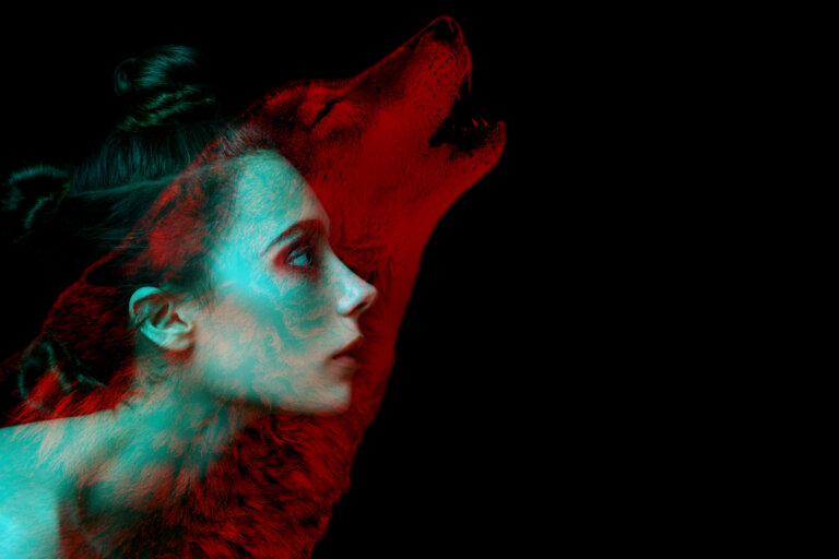 Qué significa «el hombre es un lobo para el hombre»