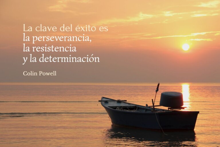 115 frases profundas sobre la resiliencia