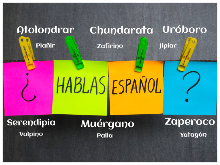 Descubre las 92 palabras más raras en español