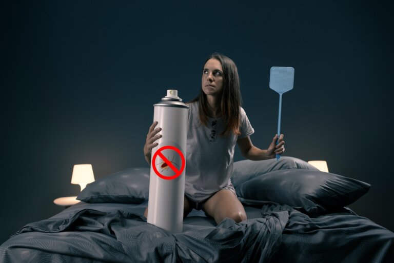 ¿Cuál es el significado de soñar con cucarachas?