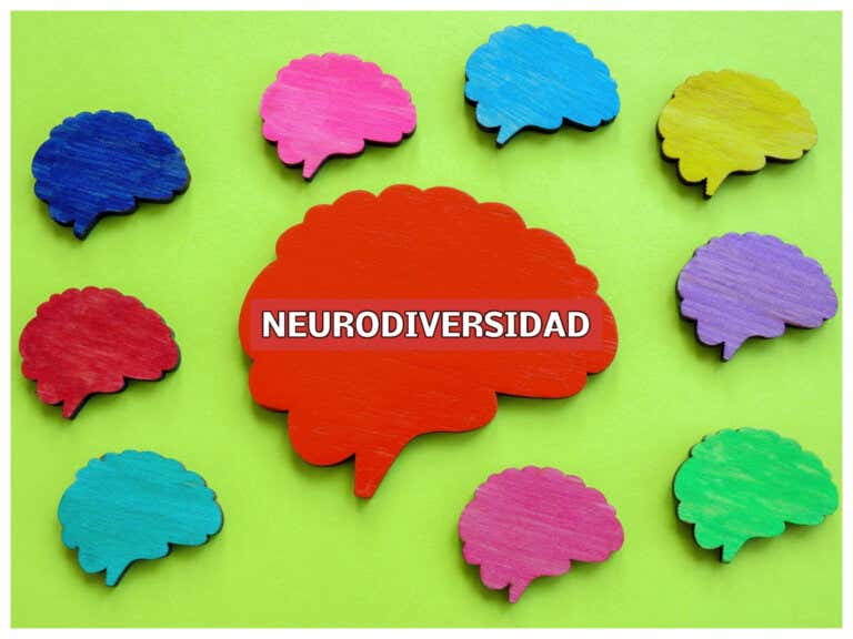 ¿Qué significa ser una persona neurodivergente?
