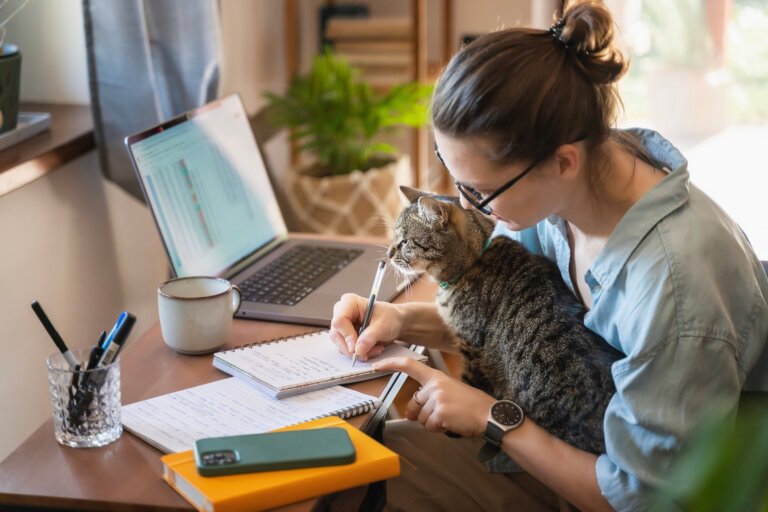 ¿Qué es el trabajo líquido?