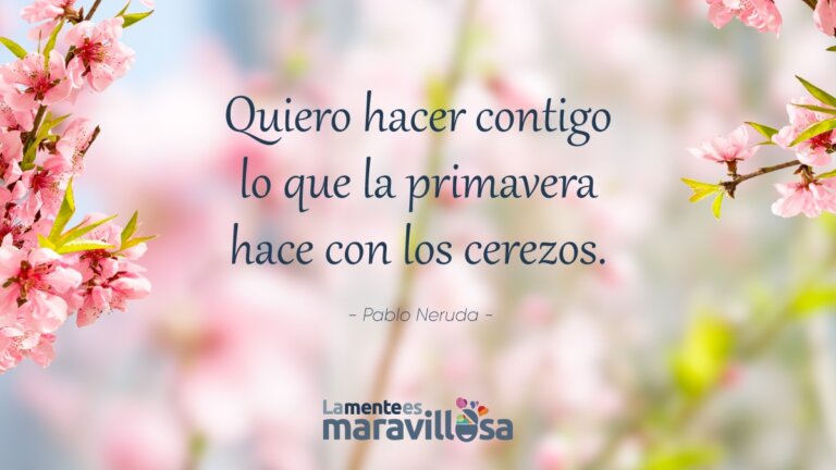 Fondo de cerezos con frase de amor para dedicar