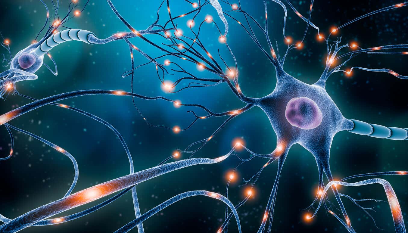 Emergentismus und die Interaktion von Neuronen