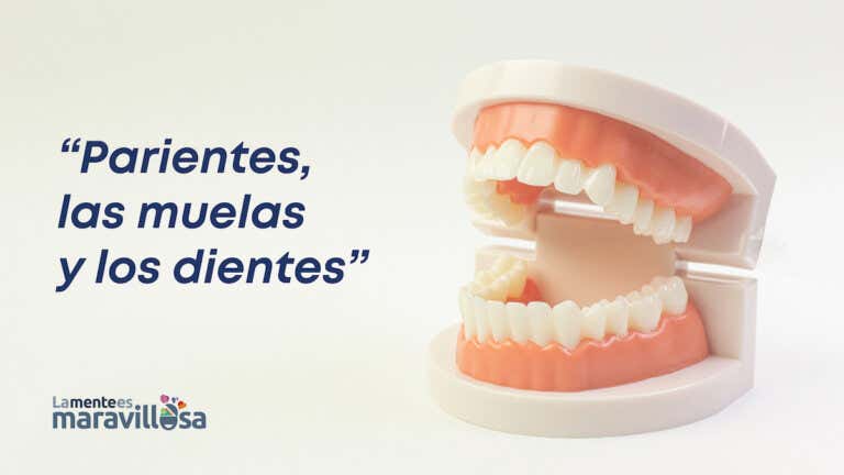 Refrán español: "Parientes, las muelas y los dientes"