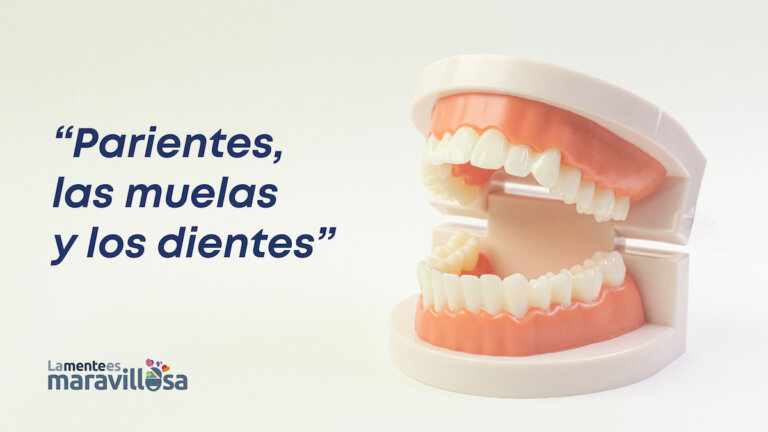 Ditado espanhol: "Parentes, os molares e os dentes"